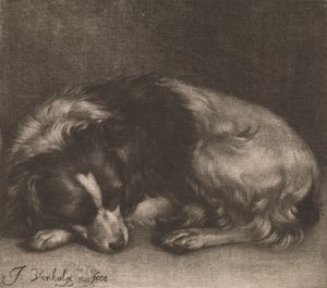 眠る犬 作： Jan Verkolje