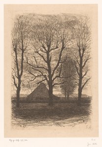 背の高い木々の間の農場、Ewijkhoeve 作： Jan Veth