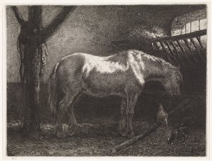 厩舎の馬