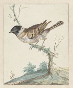 リートゴルス(?) 作： Jan Baptist Weenix