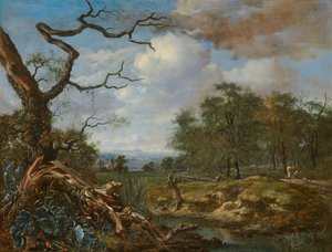 森の端の風景 作： Jan Wijnants
