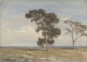 2 本の木とヒースのビュー 作： Jan Willem van Borselen