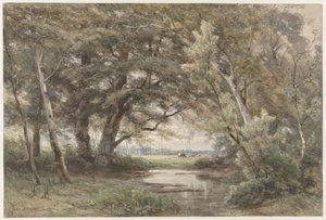森の端にある木の下の水 作： Jan Willem van Borselen