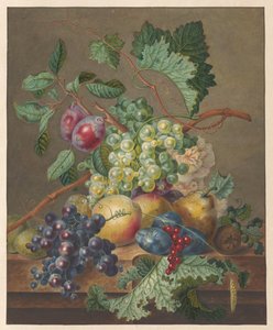 果物のある静物 作： Jan de Bruyn