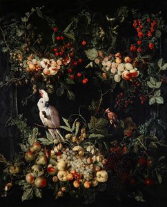 果実と花のスワッグ、スルファークリステッドオウムのカルトゥーシュ（油彩・キャンバス 作： Jan van (attr. to) Kessel