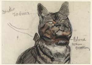 猫、カラーノート付き 作： Jan van Essen