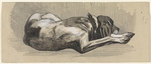 眠っている犬、右へ 作： Jan van Essen