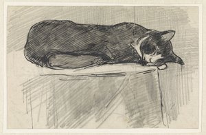 眠る猫 作： Jan van Essen