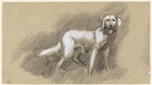 立ち犬 作： Jan van Essen