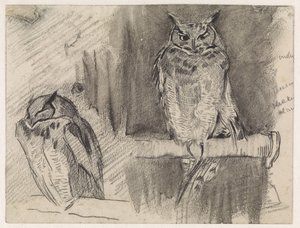 フクロウの 2 つの習作 作： Jan van Essen