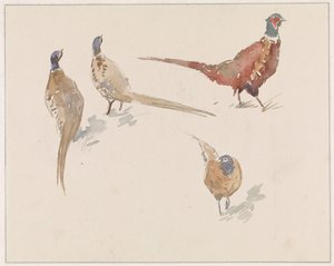 4羽のキジ 作： Jan van Essen