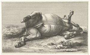 その左側に横たわっている倒れた馬 落ち馬（シリーズタイトル） 作： Jan van Huchtenburg