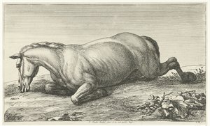 Gesneuveld paard op de buik liggend Gesneuvelde paarden (series title)   1370670   ja       japanese Successfully Translated  Original: Clinton Parry Translat: Clinton Parry 1290545 ja japanese Successfully Translated Original: Portrait of Charles Favre Tr 作： Jan van Huchtenburg