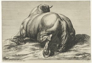 後ろから見た腹で倒れた馬 落ち馬（シリーズタイトル） 作： Jan van Huchtenburg