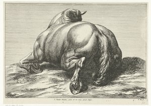 後ろから見た腹で倒れた馬 落ち馬（シリーズタイトル） 作： Jan van Huchtenburg