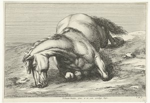 その右側に横たわっている倒れた馬 落ち馬（シリーズタイトル） 作： Jan van Huchtenburg