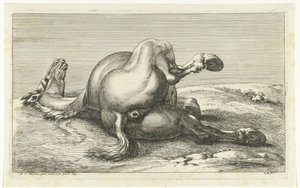 後ろから見た倒れた馬 落ち馬（シリーズタイトル） 作： Jan van Huchtenburg