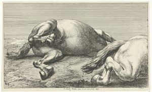 2頭の倒れた馬、横から見た右の馬 落ち馬（シリーズタイトル） 作： Jan van Huchtenburg