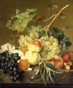 フルーツ、ヘーゼルナッツ、ホリーホック、大理石の棚の上 作： Jan van Huysum