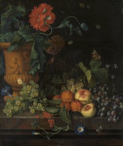 花と果物のテラコッタ花瓶 作： Jan van Huysum