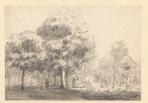 Haarlemmerhout のビュー、ハールレム 作： Jan van Kessel (attributed to)