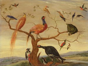 鳥のコンサート（銅板に油彩） 作： Jan van Kessel the Elder