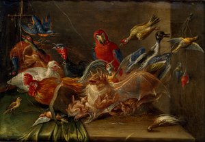 鳥と二匹のコウモリの装飾的静物画 17世紀中頃 作： Jan van Kessel