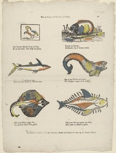 腐った馬、尾のある魚 (オブジェクトのタイトル) 作： Jan van Lee