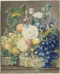  作： Jan van Os