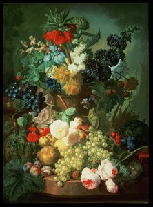 不明な画像 作： Jan van Os