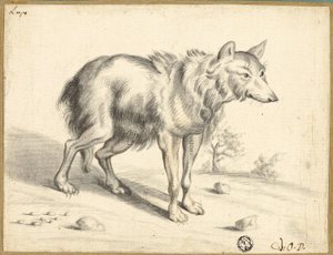 狼 作： Jan van Os