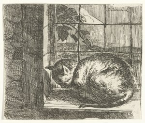 窓枠の猫 作： Jan van Ossenbeeck