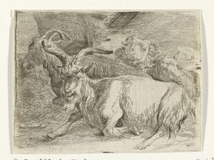 2頭のヤギと2頭の羊 作： Jan van Ossenbeeck