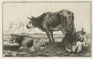 3頭の牛 動物（シリーズタイトル） ズーグラフィアム（シリーズタイトル） 作： Jan van den Hecke