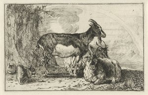 ヤギ 動物（シリーズタイトル） ズーグラフィアム（シリーズタイトル） 作： Jan van den Hecke