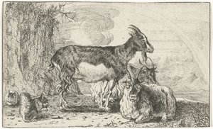 ヤギ 動物（シリーズタイトル） ズーグラフィアム（シリーズタイトル） 作： Jan van den Hecke