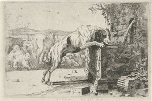 噴水の犬 動物（シリーズタイトル） ズーグラフィアム（シリーズタイトル） 作： Jan van den Hecke