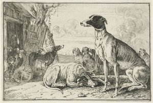 犬小屋 動物（シリーズタイトル） ズーグラフィアム（シリーズタイトル） 作： Jan van den Hecke