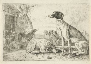 犬小屋 動物（シリーズタイトル） ズーグラフィアム（シリーズタイトル） 作： Jan van den Hecke