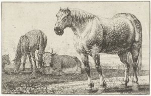 馬と牛 動物（シリーズタイトル） ズーグラフィアム（シリーズタイトル） 作： Jan van den Hecke