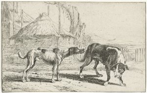 男性と女性 動物（シリーズタイトル） ズーグラフィアム（シリーズタイトル） 作： Jan van den Hecke