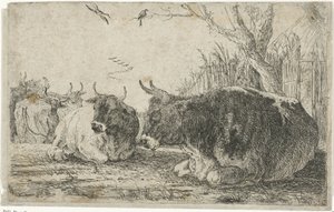 牛の休息 動物（シリーズタイトル） ズーグラフィアム（シリーズタイトル） 作： Jan van den Hecke