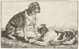 休んでいる 2 匹の犬 動物（シリーズタイトル） ズーグラフィアム（シリーズタイトル） 作： Jan van den Hecke