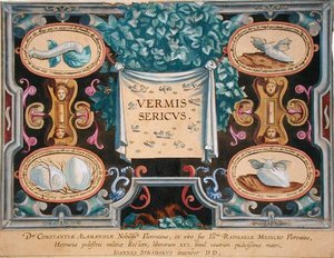 テオドール・ガレ(1571-1633)の「Vermis Sericus(蚕)」の扉(エングレーヴィング) 作： Jan van der Straet