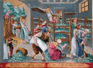 蚕のために桑の葉を棚に並べる女性たち フィリップ・ガレ（1537-1612）の「Vermis Sericus（蚕）」より第5図（版画）。