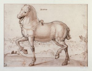馬の習作 ジョヴァンニ・ストラダーノ（ヤン・ファン・デル・ストラート）（1523-1605） フィレンツェ、ウフィッツィ美術館、Gabinetto Disegni e Stampe（オフィス 作： Jan van der Straet