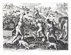 Jan Collaert（1566-1628）によって刻まれた &39;Venationes、Ferarum、Avium、Piscium&39;（Of Hunting：Wild Beasts、Birds、Fish）のイラストから、アナグマを掘り出して捕らえました。フィリップス・ガレウス、アムス 作： Jan van der Straet
