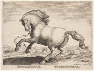 「Equile Joannis Austriaci」の第 4 セットからのデンマークの馬