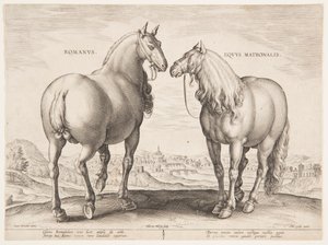 「Equile Joannis Austriaci」の最初のセットのローマの馬