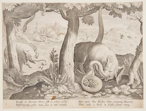 ゾウとヘビの戦い、野生動物、鳥、魚の狩猟シリーズのプレート 2 作： Jan van der Straet, called Stradanus